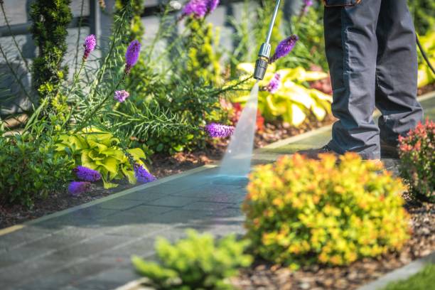 Professional Pressure Washing Services in Pilot Mountain, NC